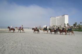 Horses and camels on the beach at Rosarita Beach, Mexico – Best Places In The World To Retire – International Living